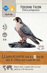 Wingspan: Revised | D20 Games