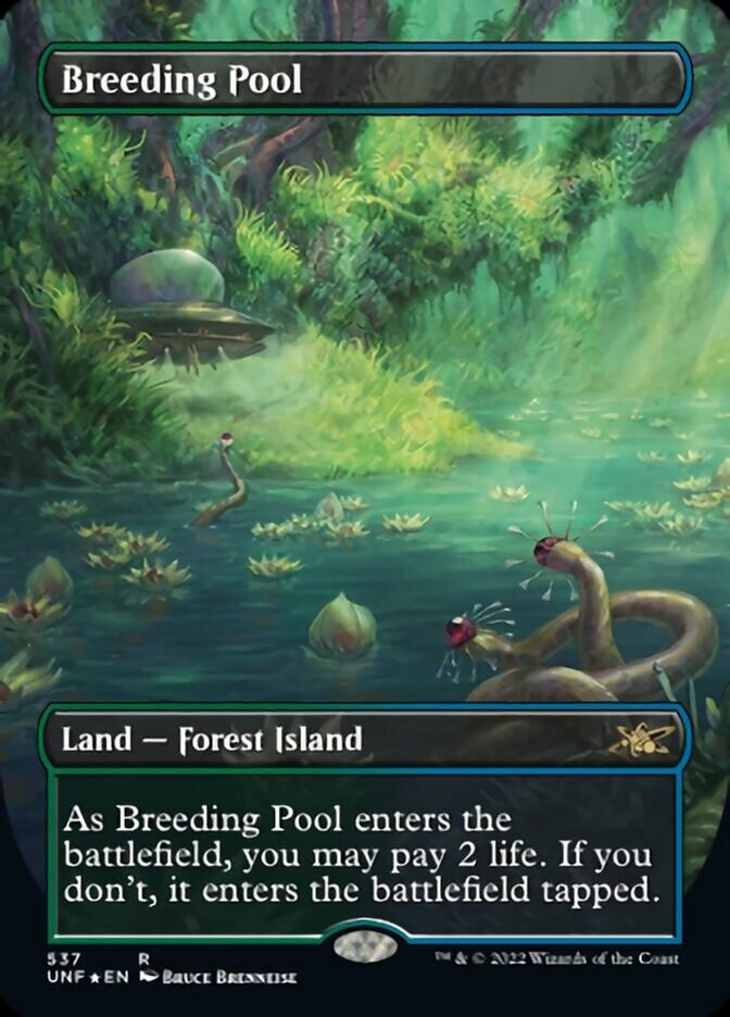 Breeding Pool (Borderless) (Galaxy Foil) [Unfinity] | D20 Games