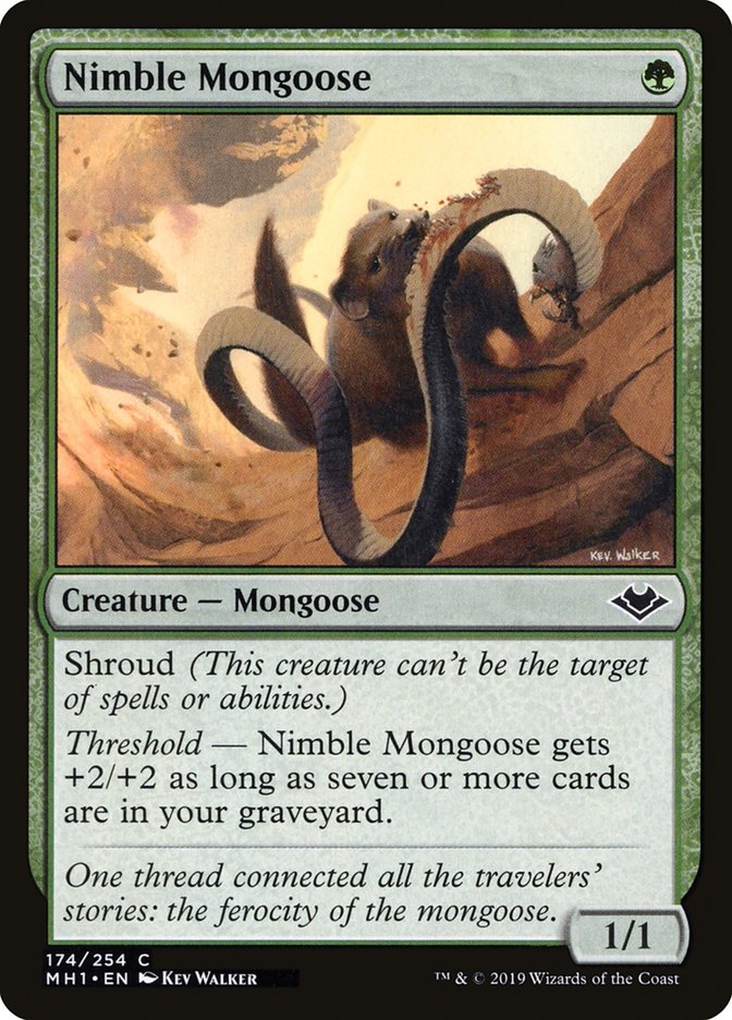 Nimble Mongoose [Modern Horizons] | D20 Games