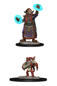 Wardlings: Boy Wizard & Imp