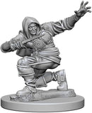 NECA Pathfinder Deep Cuts Unpainted Miniatures: Wave 1: Human Male Rogue