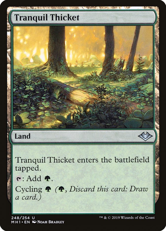 Tranquil Thicket [Modern Horizons] | D20 Games