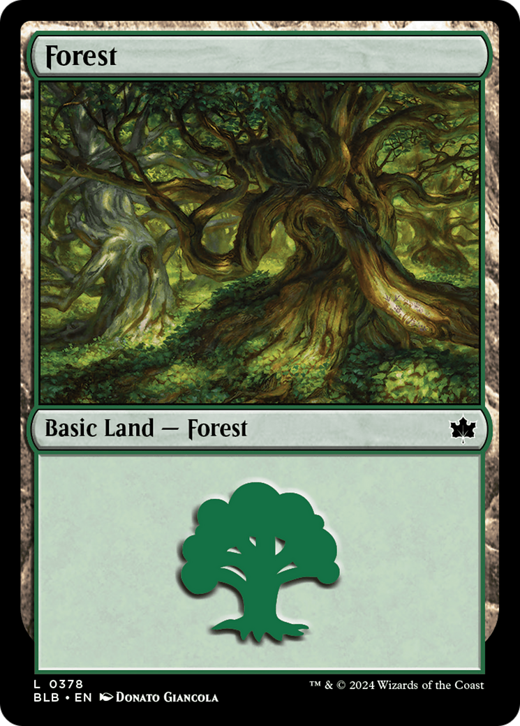 Forest (0378) [Bloomburrow] | D20 Games