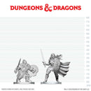 Dungeons & Dragons Nolzur`s Marvelous Unpainted Miniatures: Dwarf Fighter & Orc Paladin