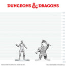 Dungeons & Dragons Nolzur`s Marvelous Unpainted Miniatures: Cultist of Bane & Dwarf Zhentilar Soldier