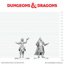 Dungeons & Dragons Nolzur`s Marvelous Unpainted Miniatures: Knight & Mage Apprentice