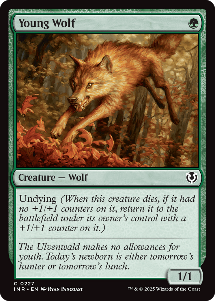 Young Wolf [Innistrad Remastered] | D20 Games