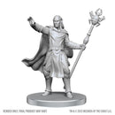 Yochlol & Drow Mage - D&D Nolzur's marvelous Miniatures