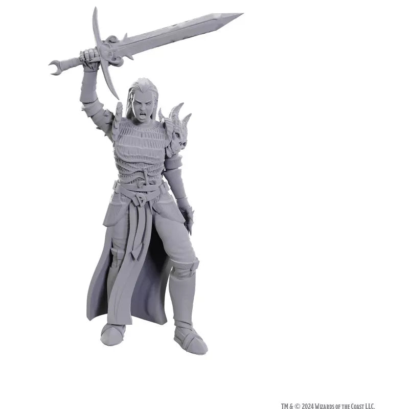 Dungeons & Dragons Nolzur's Marvelous Miniatures - Blackguard
