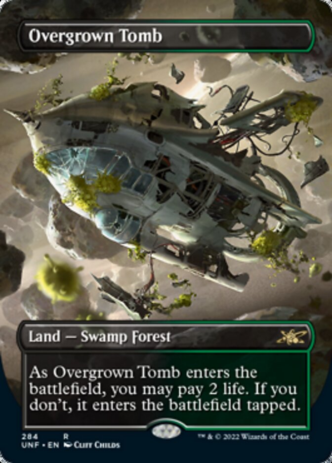 Overgrown Tomb (Borderless) [Unfinity] | D20 Games