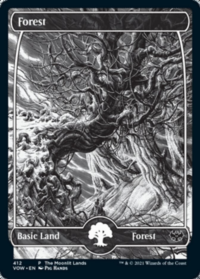 Forest (The Moonlit Lands) (Foil Etched) [Innistrad: Crimson Vow Promos] | D20 Games