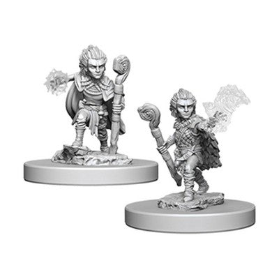 WizKids Pathfinder Mini 28mm Gnome Male Druid Pack