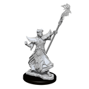 Pathfinder Battles Deep Cuts - Male Human Sorcerer