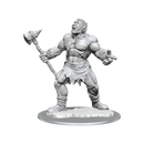 Dungeons & Dragons Nolzur's Marvelous Unpainted Miniatures: Cyclops