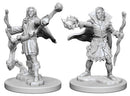 Pathfinder Deep Cuts: Elf Male Sorcerer