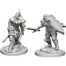 Dungeons & Dragons Nolzur`s Marvelous Unpainted Miniatures:  W3 Male Human Paladin