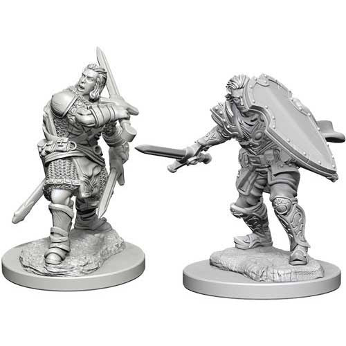 Dungeons & Dragons Nolzur`s Marvelous Unpainted Miniatures:  W3 Male Human Paladin