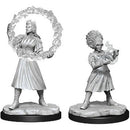 Dungeons & Dragons Nolzur`s Marvelous Unpainted Miniatures: W3 Rootha & Zimone