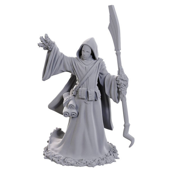 D&D Nolzur's Marvelous Miniatures: Star Spawn Larva Mage | D20 Games