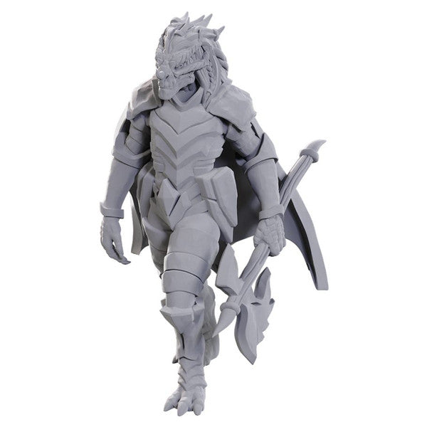 D&D Nolzur's Marvelous Miniatures: Dragonborn of Tiamat | D20 Games