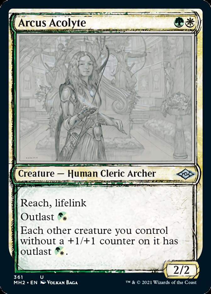 Arcus Acolyte (Sketch) [Modern Horizons 2] | D20 Games