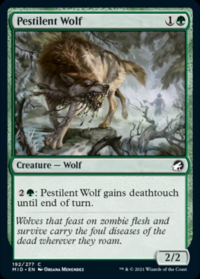 Pestilent Wolf [Innistrad: Midnight Hunt] | D20 Games