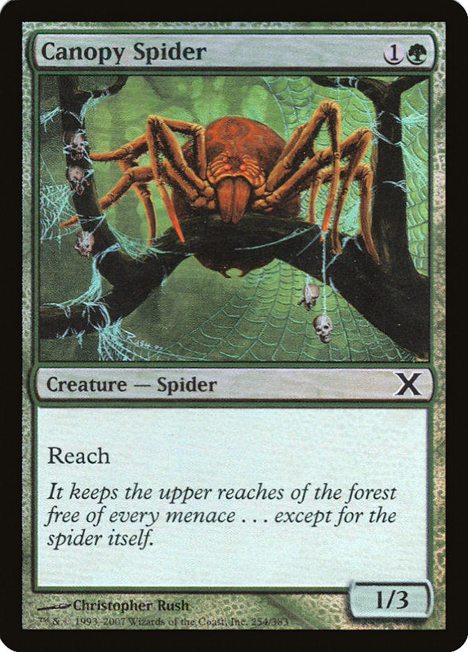 Canopy Spider (Premium Foil) [Tenth Edition] | D20 Games