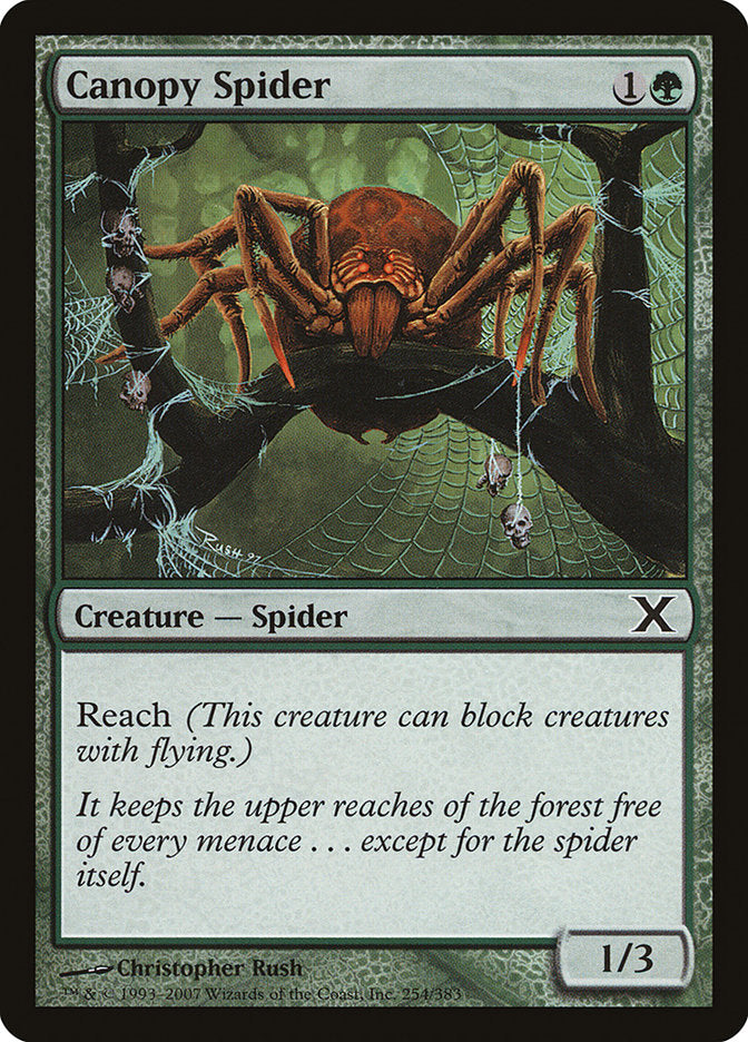 Canopy Spider [Tenth Edition] | D20 Games