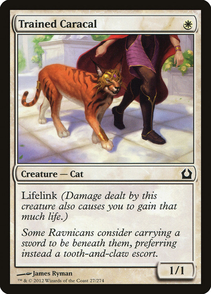 Trained Caracal [Return to Ravnica] | D20 Games
