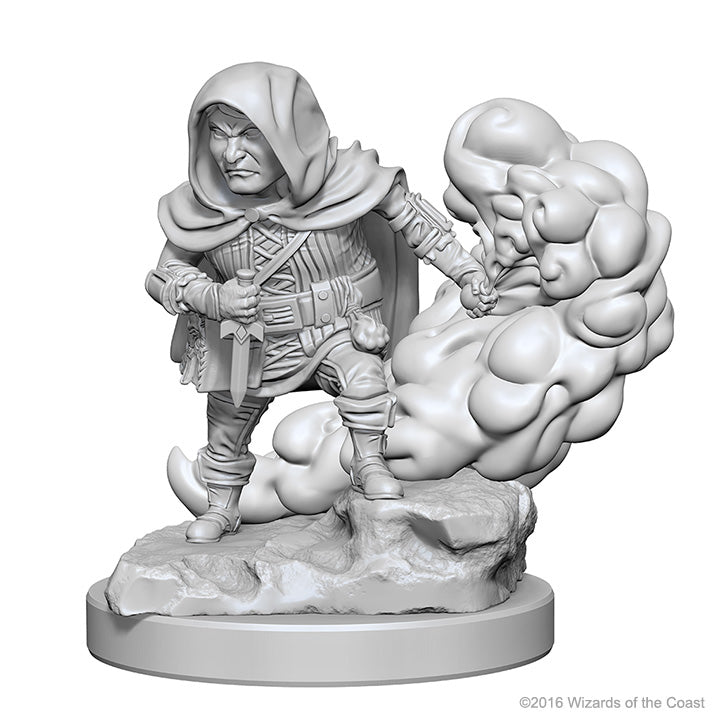 Dungeons & Dragons Nolzur`s Marvelous Unpainted Miniatures: W1 Halfling Male Rogue | D20 Games