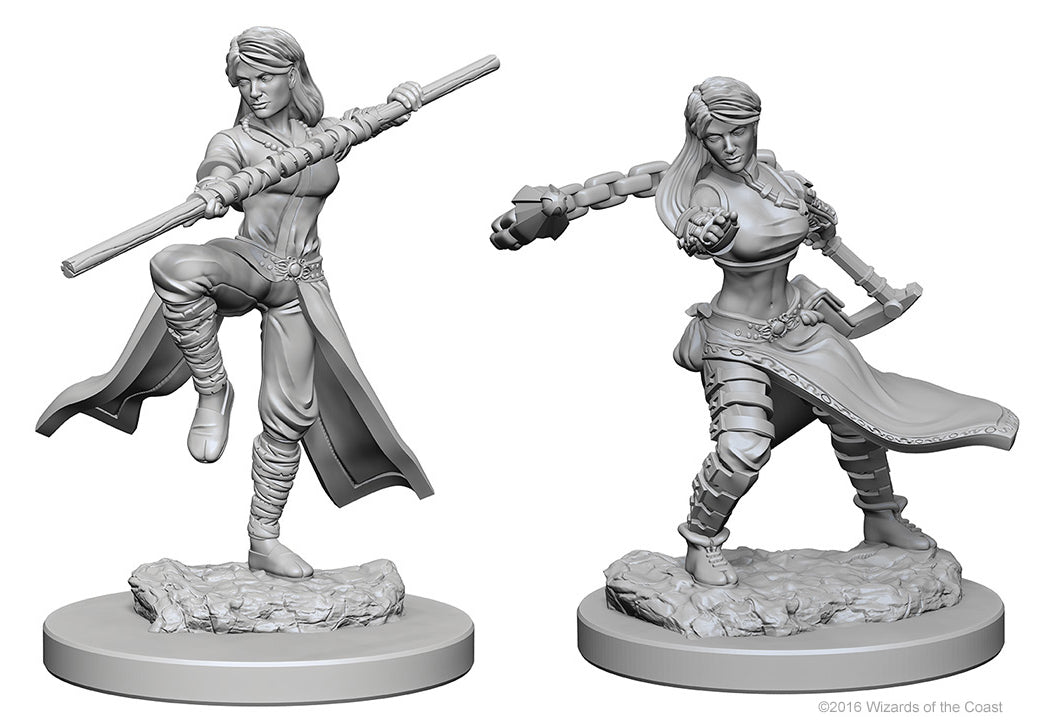 Dungeons & Dragons Nolzur`s Marvelous Unpainted Miniatures: W1 Human Female Monk | D20 Games