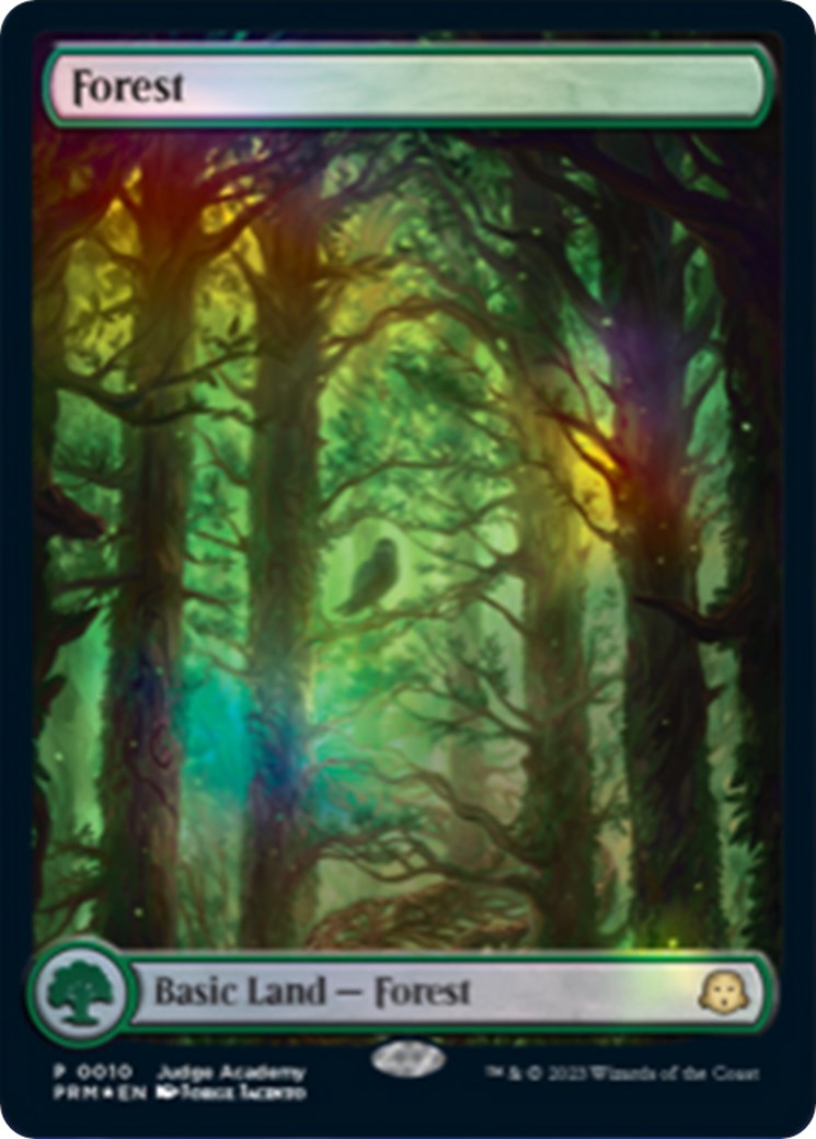 Forest [Judge Gift Cards 2023] | D20 Games