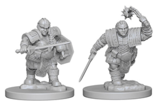 Dungeons & Dragons Nolzur`s Marvelous Unpainted Miniatures: W2 Dwarf Female Fighter | D20 Games