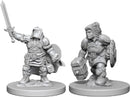 Dungeons & Dragons Nolzur`s Marvelous Unpainted Miniatures: W3 Dwarf Female Paladin