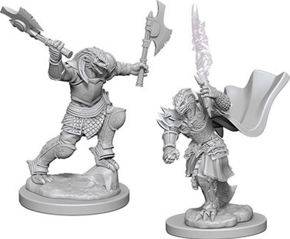 Dungeons & Dragons Nolzur`s Marvelous Unpainted Miniatures: W4 Dragonborn Female Fighter | D20 Games