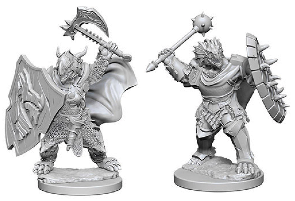 Dungeons & Dragons Nolzur`s Marvelous Unpainted Miniatures: W4 Dragonborn Male Paladin | D20 Games