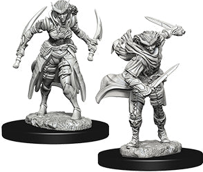 Dungeons & Dragons Nolzur`s Marvelous Unpainted Miniatures: W7 Tiefling Female Rogue | D20 Games