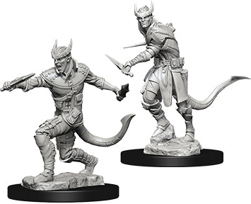 Dungeons & Dragons Nolzur`s Marvelous Unpainted Miniatures: W5 Tiefling Male Rogue | D20 Games