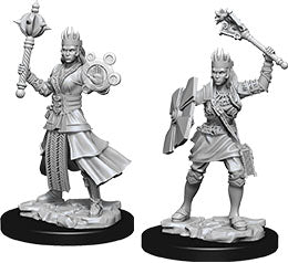 Dungeons & Dragons Nolzur`s Marvelous Unpainted Miniatures: W8 Female Human Cleric | D20 Games