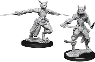 Dungeons & Dragons Nolzur`s Marvelous Unpainted Miniatures: W9 Female Tabaxi Rogue | D20 Games