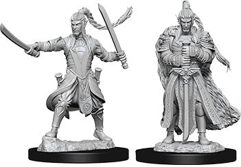 Dungeons & Dragons Nolzur`s Marvelous Unpainted Miniatures: W9 Male Elf Paladin | D20 Games