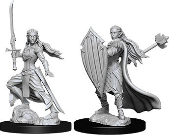 Dungeons & Dragons Nolzur`s Marvelous Unpainted Miniatures: W9 Female Elf Paladin | D20 Games