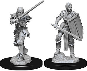 Dungeons & Dragons Nolzur`s Marvelous Unpainted Miniatures: W9 Female Human Fighter | D20 Games