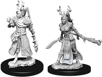 Dungeons & Dragons Nolzur`s Marvelous Unpainted Miniatures: W9 Female Human Druid | D20 Games