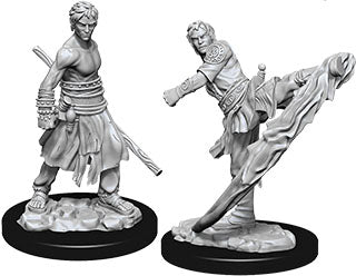 Dungeons & Dragons Nolzur`s Marvelous Unpainted Miniatures: W10 Male Half-Elf Monk | D20 Games