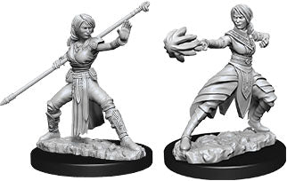 Dungeons & Dragons Nolzur`s Marvelous Unpainted Miniatures: W10 Female Half-Elf Monk | D20 Games