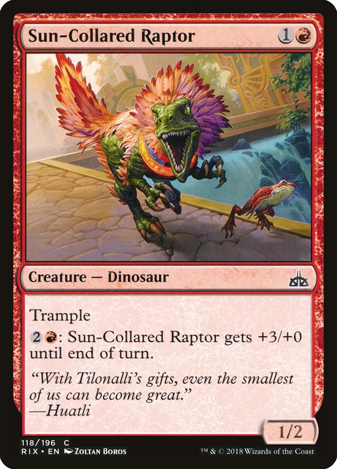 Sun-Collared Raptor [Rivals of Ixalan] | D20 Games