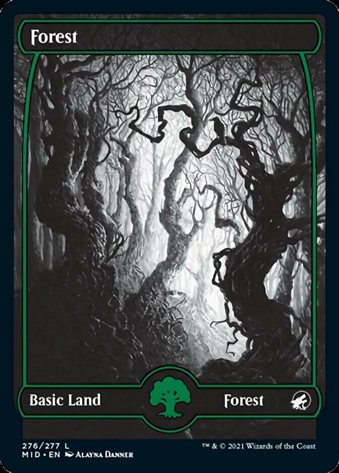 Forest (276) [Innistrad: Midnight Hunt] | D20 Games