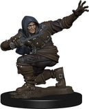 Pathfinder Battles Human Male Rouge