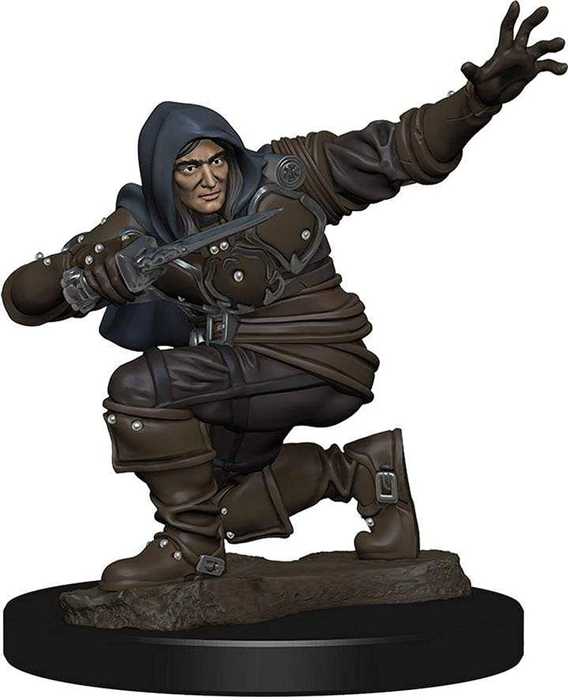 Pathfinder Battles Human Male Rouge